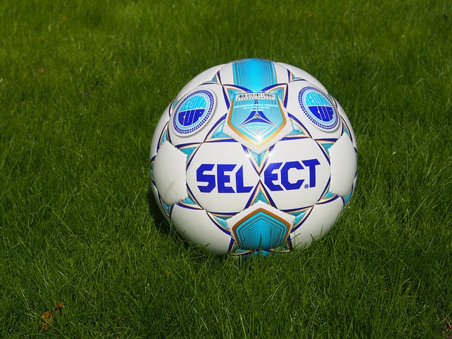 這無疑強烈 這無疑強烈