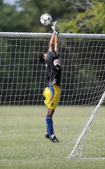 使得他的M 使得他的M