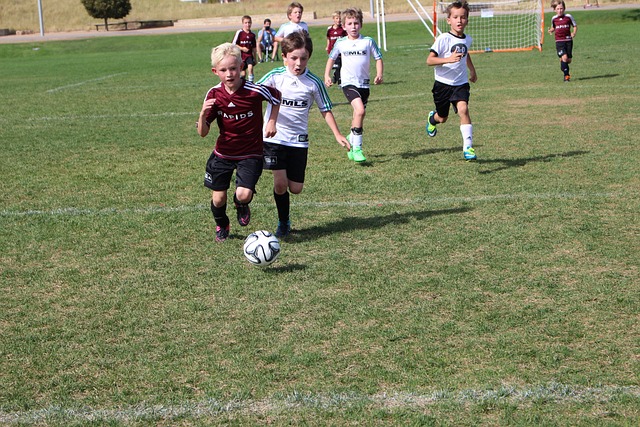 攀岩与滑翔 攀岩与滑翔